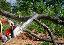 Best Utility Line Clearance  in Kraemer, LA